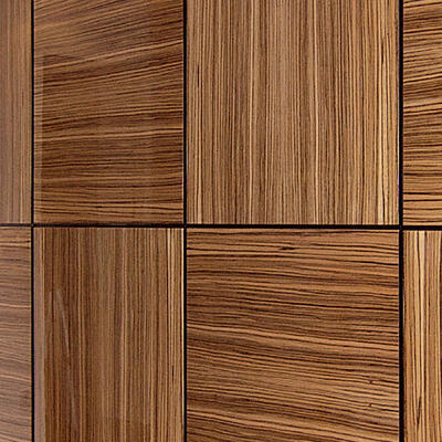 Einbauschrank mit Lederfronten & Zebrano